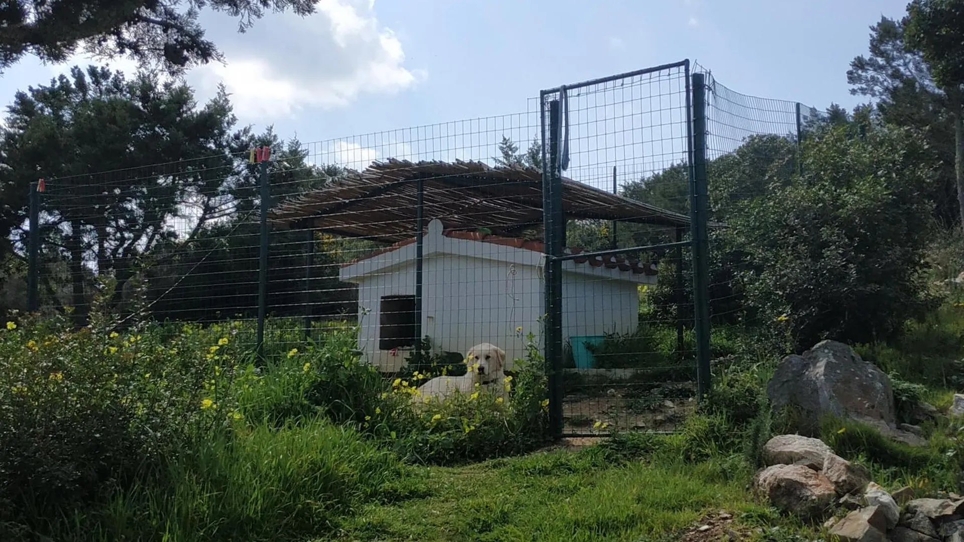 Villa Haass Stintino Olaszország