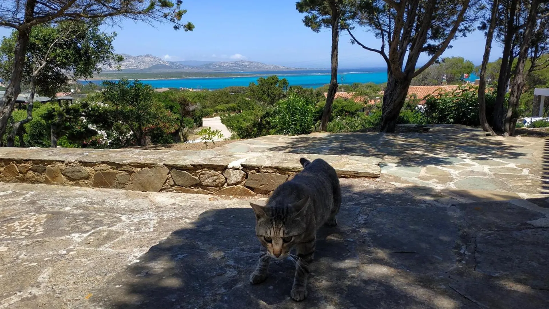 Villa Haass Stintino